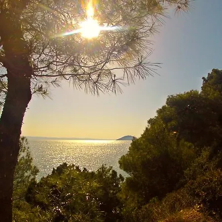 Angelika Apartment *