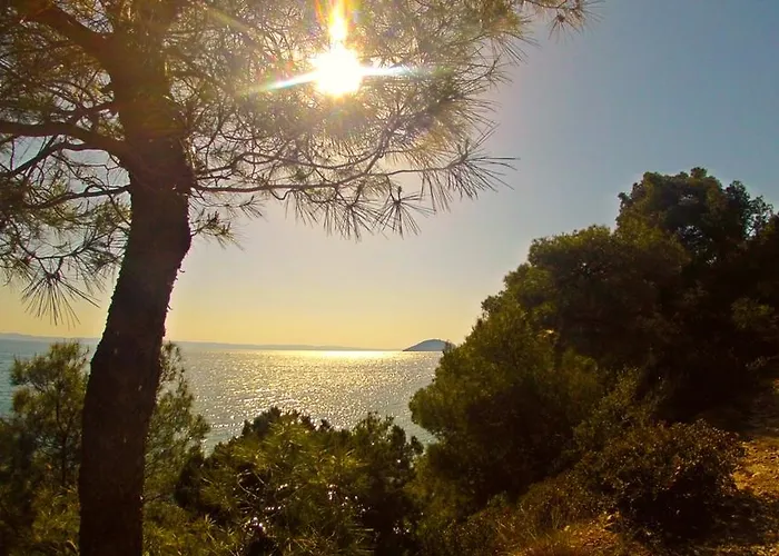 Angelika Apartamento *